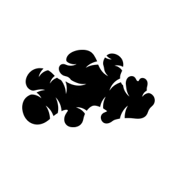 Ginger Brands